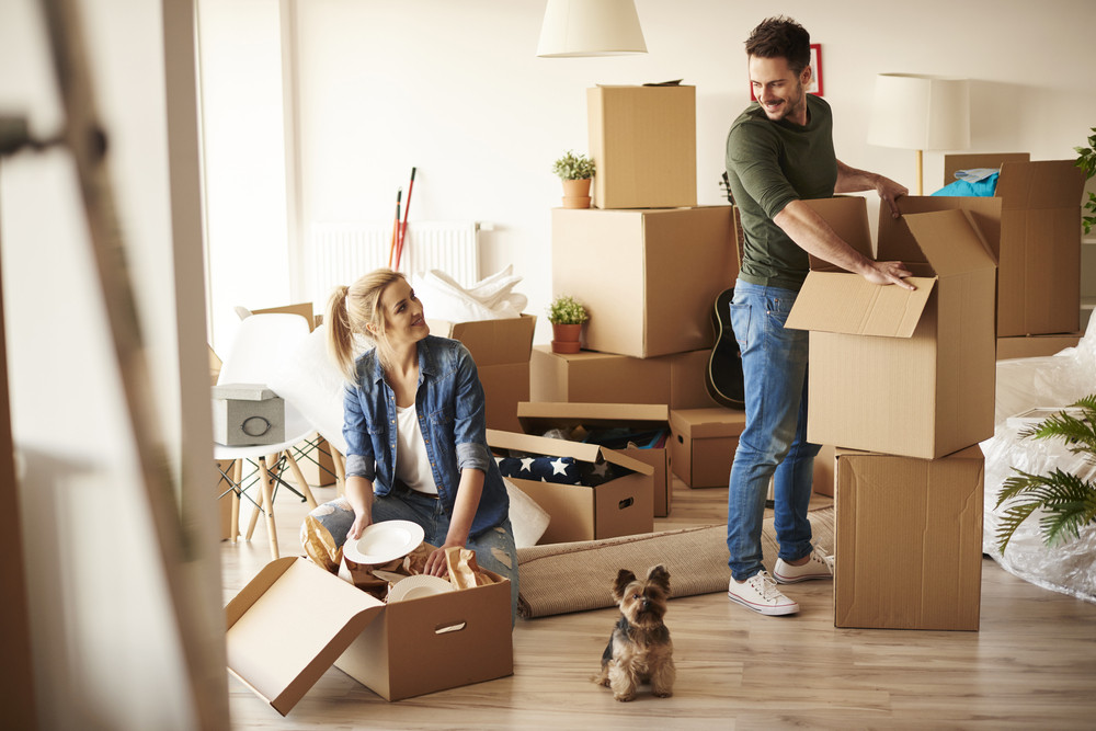 renting an apartment